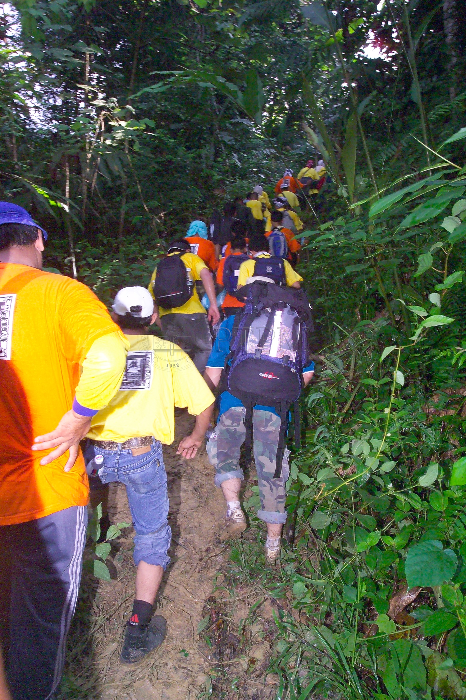 PTPM 06 31 kilau D9X44168